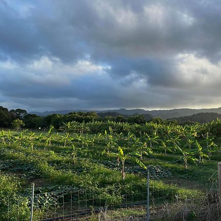 Maleka Farm: Tent Glamping North Shore Oahu Laie Екстер'єр фото
