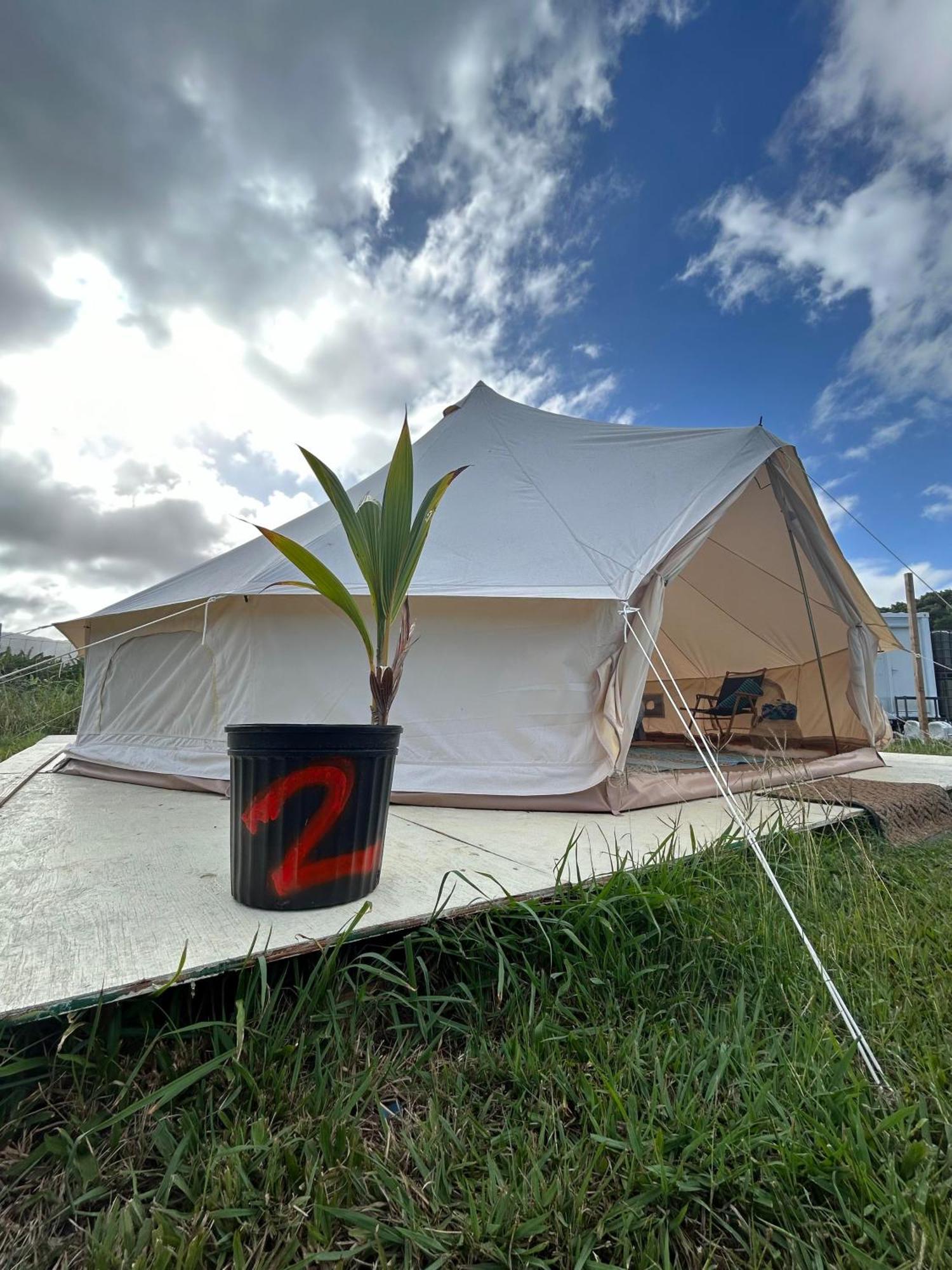 Maleka Farm: Tent Glamping North Shore Oahu Laie Екстер'єр фото